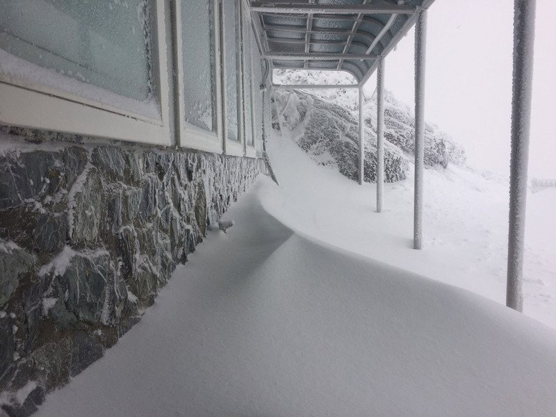 寒流減弱水氣足 玉山積雪16公分