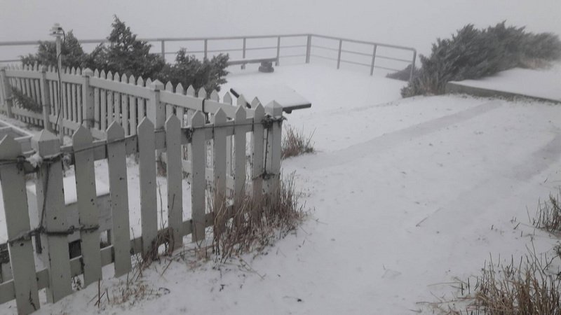 玉山降雪3公分 合歡山也有機會