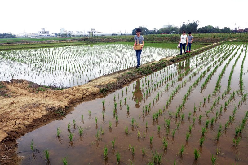 鋒面及冷氣團影響 全臺有雨轉冷