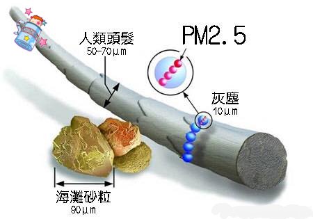 研究：短暫暴露空污引發幼兒肺部感染