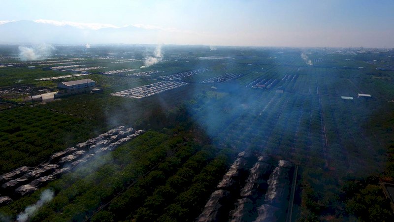 檢舉非法露天燃燒  最高可領300元