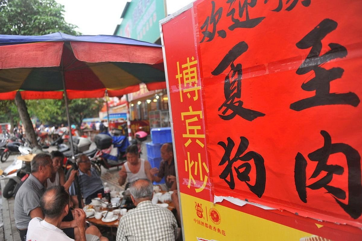 評中國吃狗肉文化