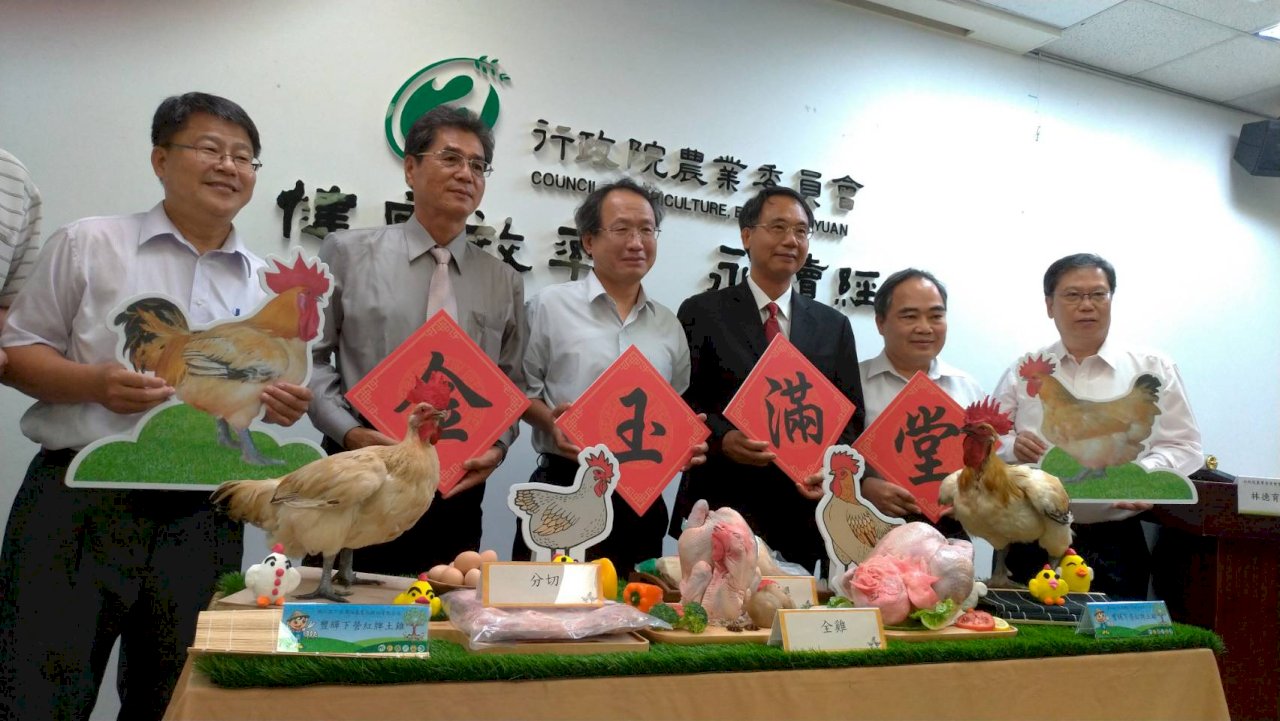 抗禽流感 畜試所7年育成土雞新品種