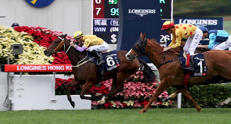 香港賽馬會 廣東設馬匹訓練場