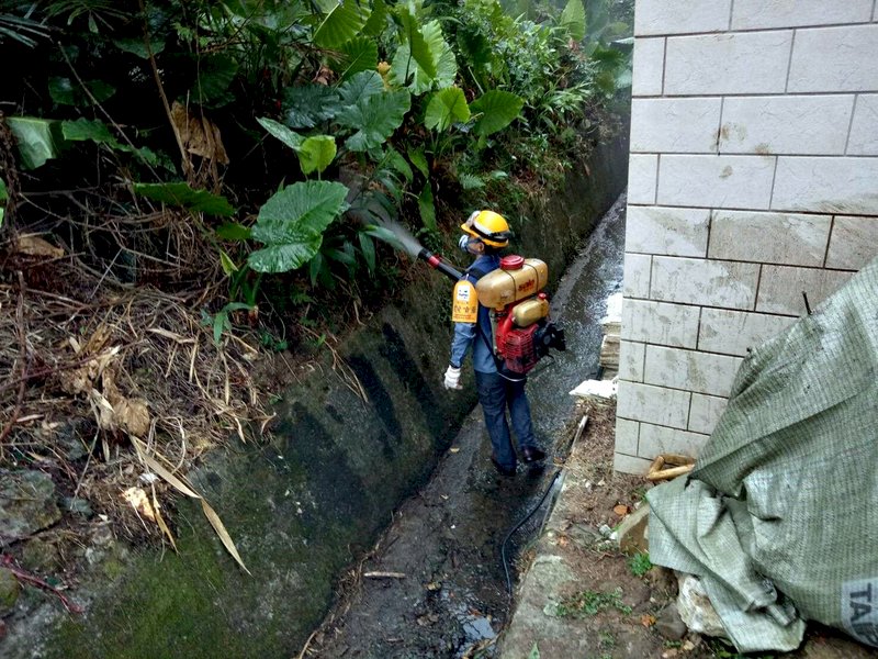 今年北市首例本土登革熱 病患住文山區