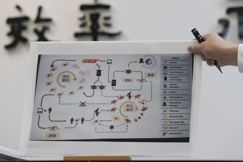 非洲豬瘟 中國遼寧官方：疫情有效控制