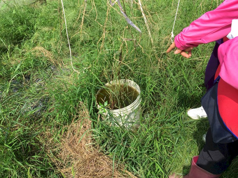 新莊登革熱再添3例 瓊林里地毯式噴消
