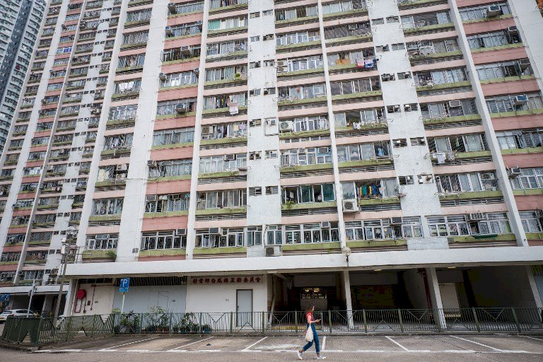 香港發現老鼠傳染人類E型肝炎 全球首例