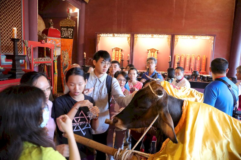 台南孔廟祭孔 遊客搶拔智慧毛