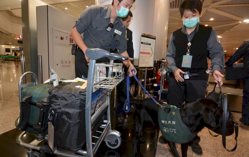 雙11網購潮防走私 關務署備妥秘密武器