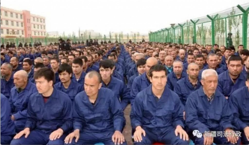 樣本採集違反倫理！中國兩篇涉維吾爾人DNA研究遭國際期刊撤稿