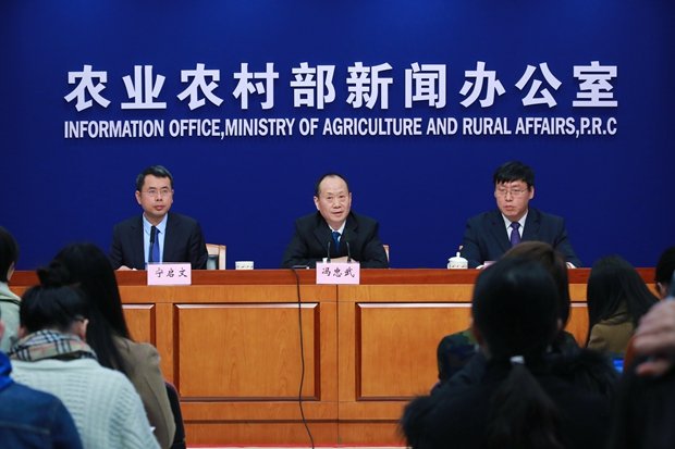 非洲豬瘟蔓延 中國官方堅稱：疫情總體可控
