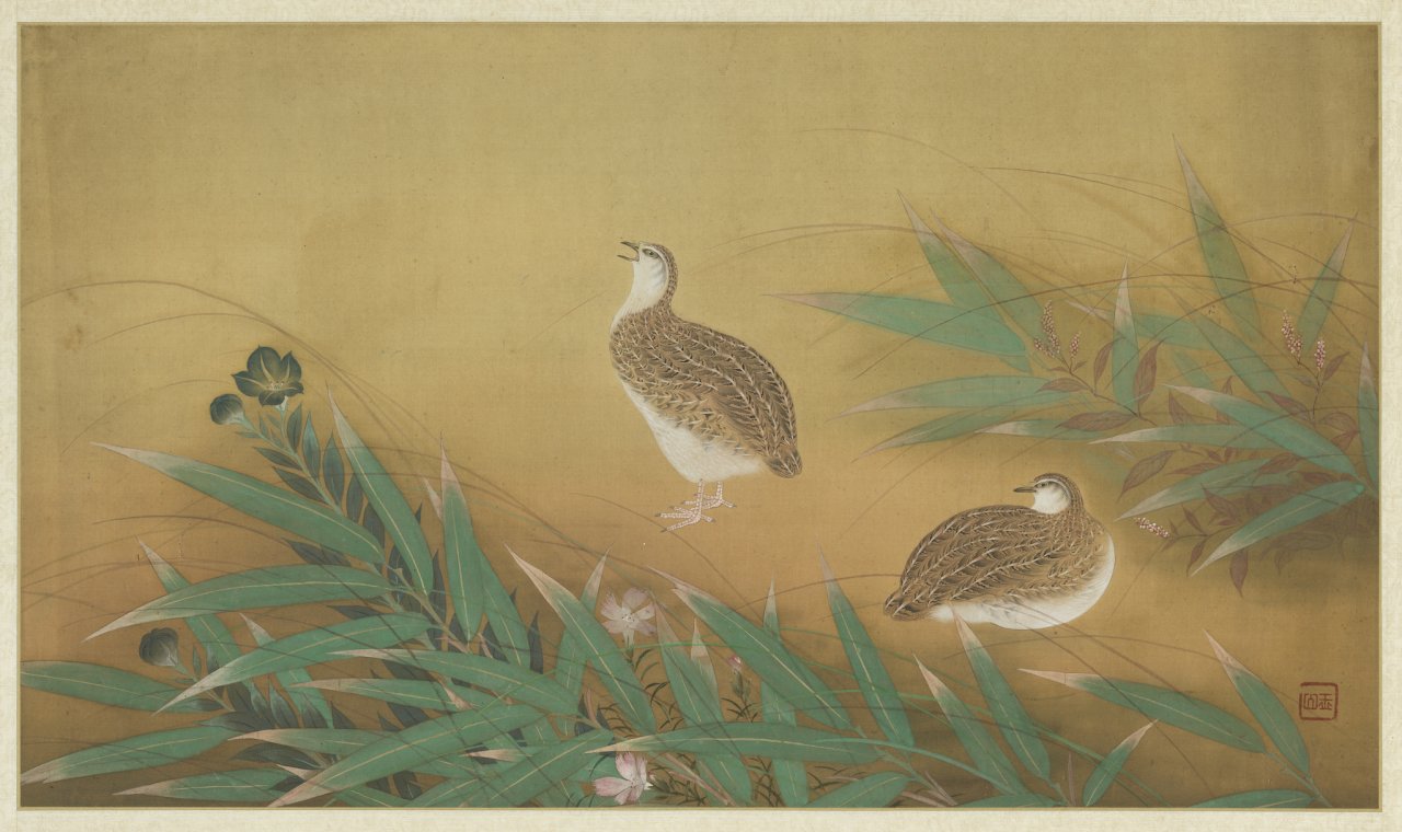 元旦連假 故宮邀國人前來「賞鳥」