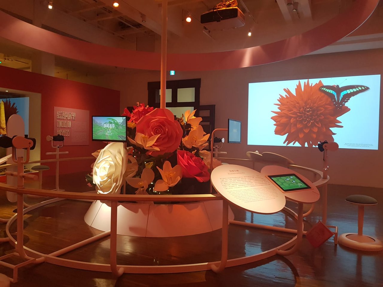 台博館特展 一窺昆蟲與植物的愛戀關係