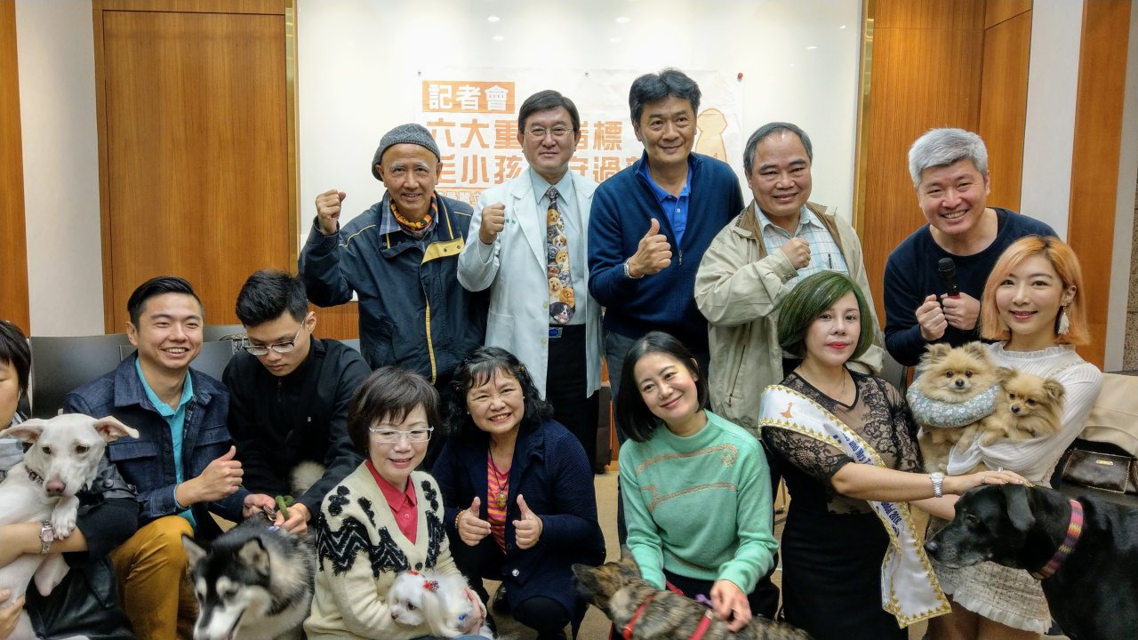 寵物毛小孩過年5不利！交通、住宿、鞭炮驚嚇...都是大問題