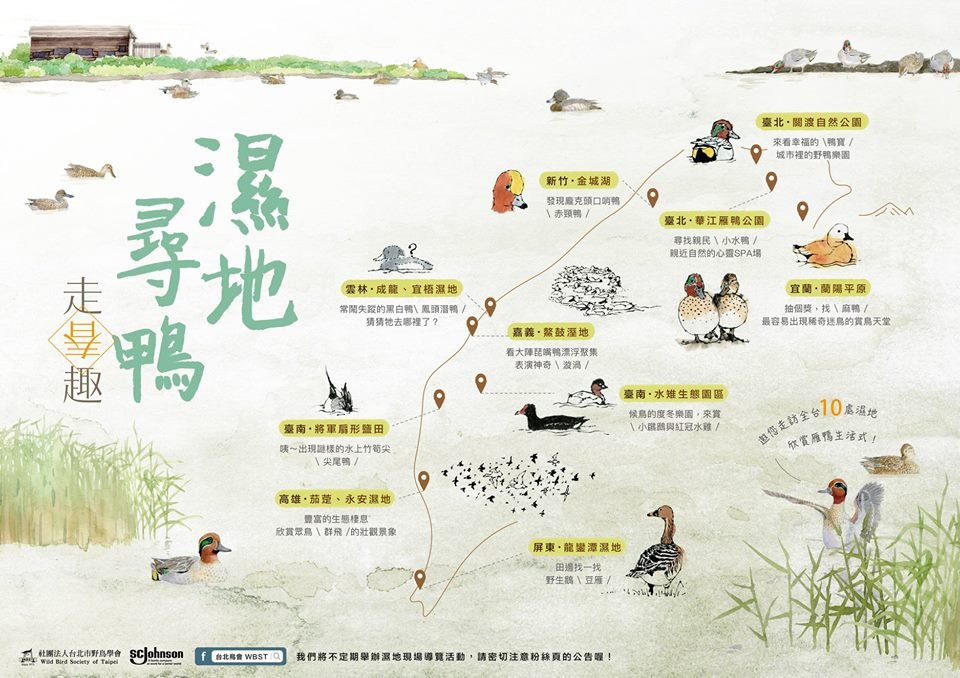過年走春 全台10個濕地賞鴨去
