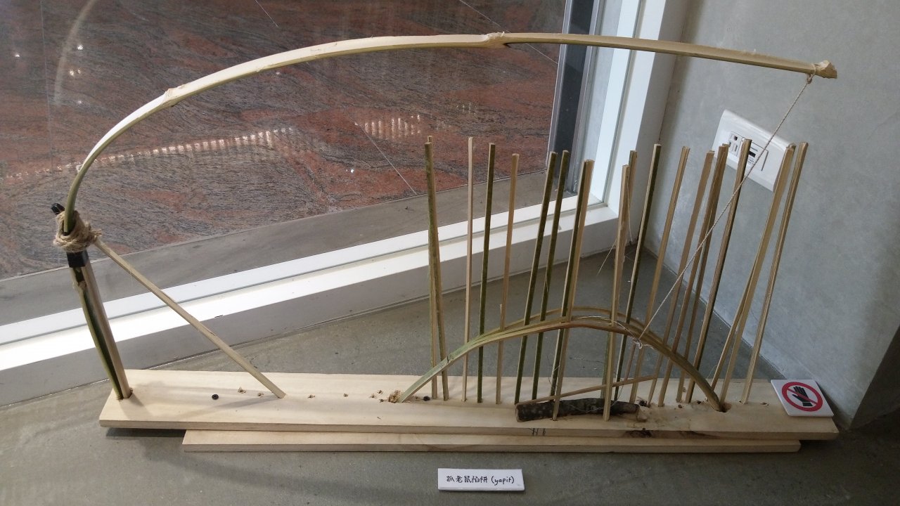 部落抓鼠陷阱長這樣 北醫大辦小米文化特展