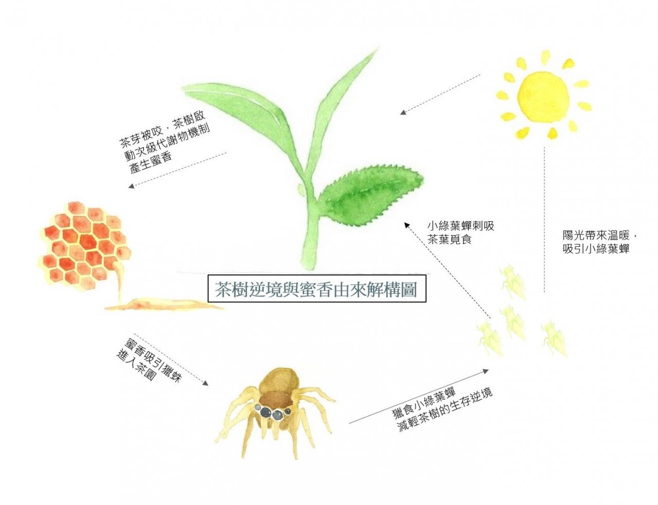 從山中到海裡 聽蕭秀琴用風土建構客家