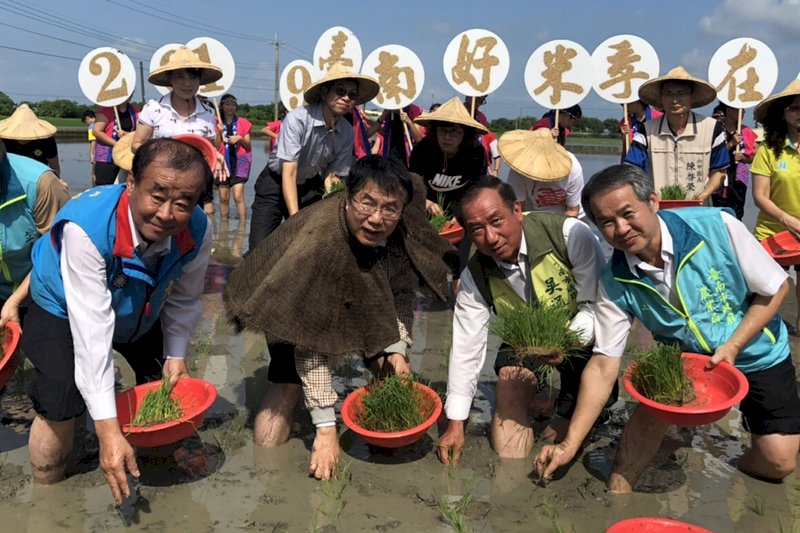台南市政府農業局14日在六甲區舉辦2019彩繪稻田插秧活動,由台南市長黃偉哲(前左2)帶領民眾祭天後下田插秧,預計10月就會有彩繪稻田可以觀賞。(台南市農業局提供)