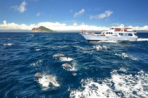 搭台灣觀巴玩龜山島 成來台自由行新興熱門線