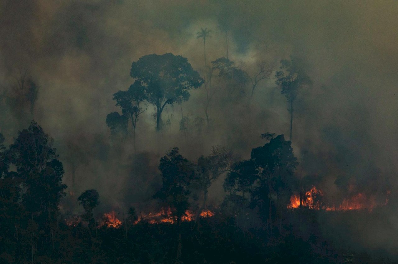 2010年來單月最嚴重 亞馬遜森林火災9月飆升