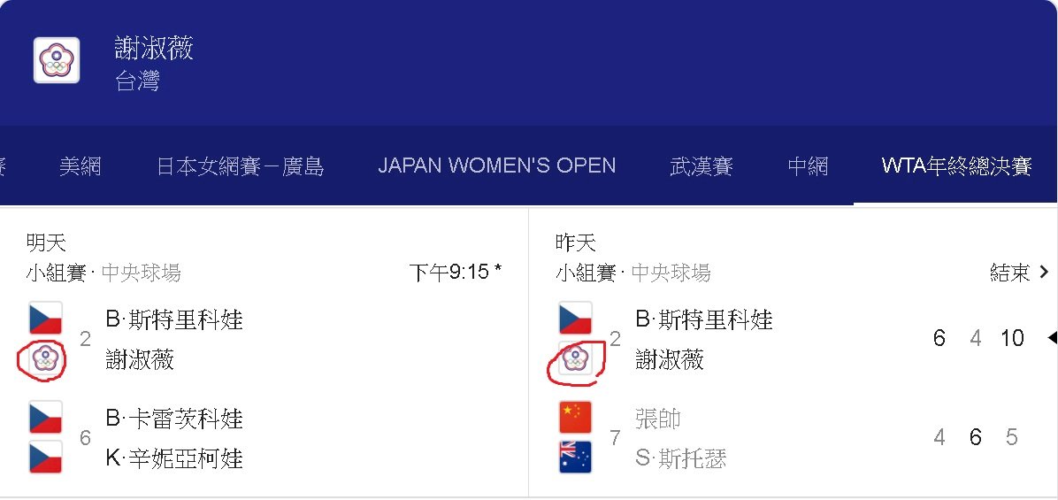 Google職網賽程資訊 ROC國旗遭撤換