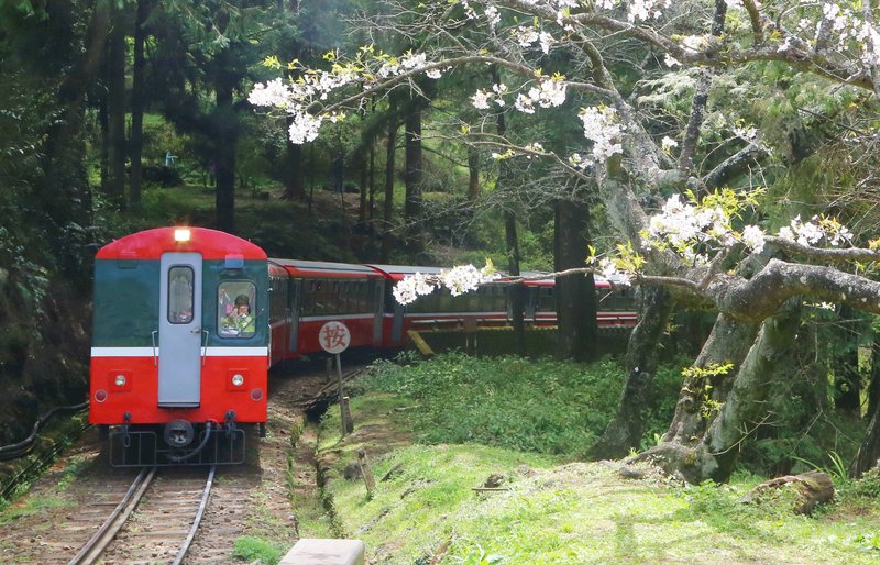 降低空污 阿里山森鐵擬換電動車頭