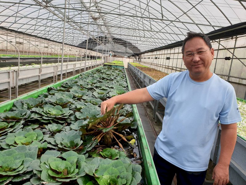 在電機工程擔任研發長的洪義鵬,4年前退休看到魚菜共生前瞻性,種植包括菱角等40幾種蔬果,不噴農藥受到消費者歡迎。(農糧署提供)
