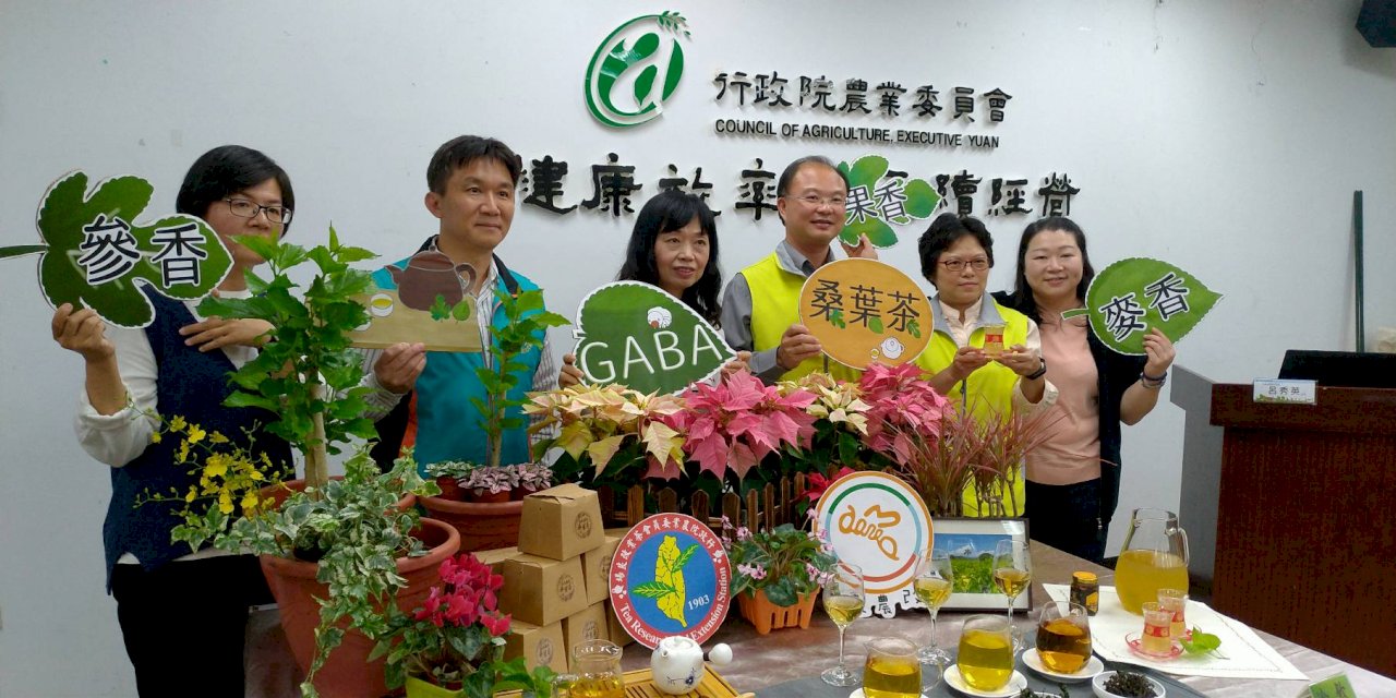 全球首創 桑葉茶導入台灣特色製程GABA量翻倍