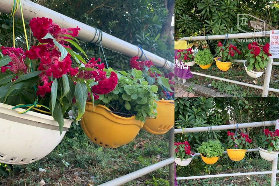 創意滿中大  頭盔化作花盆更護花