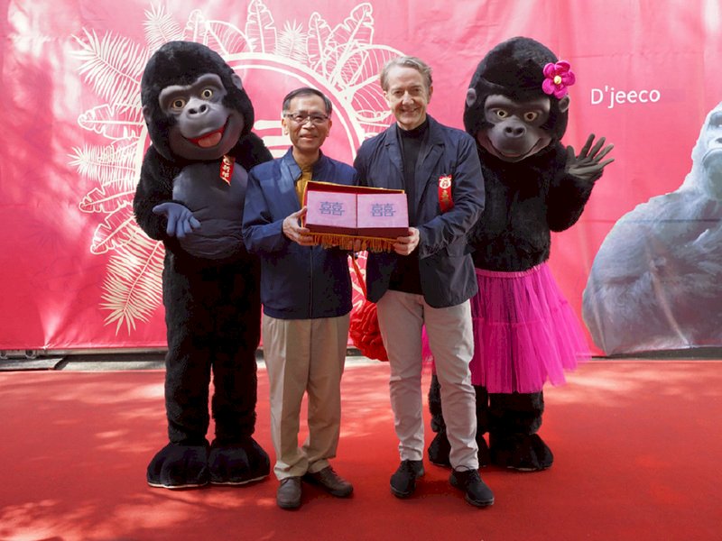 台北市立動物園8日為金剛猩猩舉辦婚禮,並邀請荷蘭貿易暨投資辦事處代表紀維德(右)、副市長蔡炳坤(左)觀禮,祝福金剛猩猩早生貴子、瓜瓞綿綿。(台北市動物園提供)