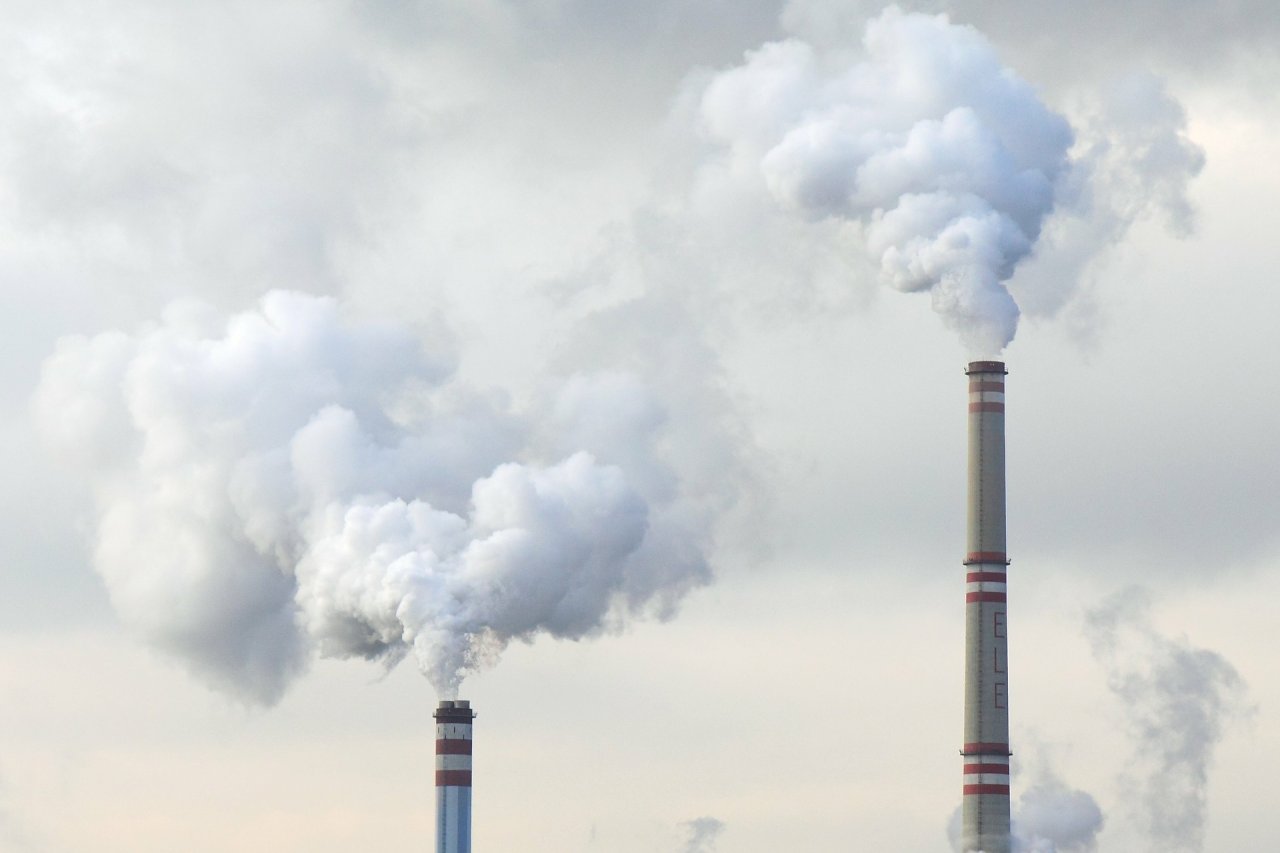 研究：2020碳排放創紀錄減7%