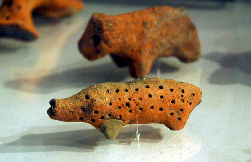 台東國立台灣史前文化博物館指出，豬與南島民族的密切關係從距今4000年南科遺址的史前時代就開始，與人類生活緊密連結。圖為卑南遺址出土的陶豬，約8公分、45公克重。