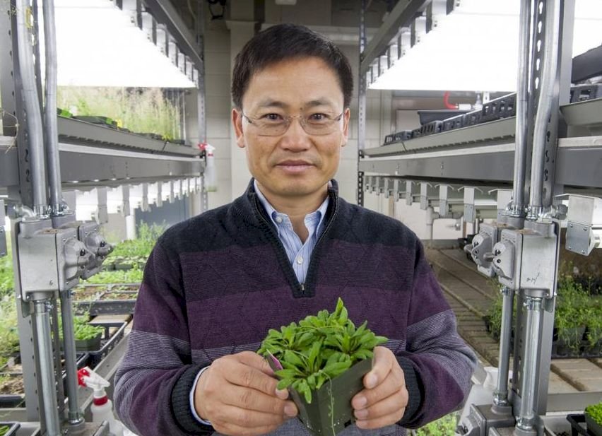 中國專家:不提倡戴手套 是當前防疫巨大漏洞