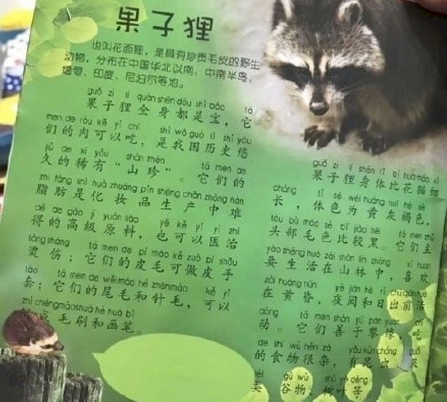 武漢兒童圖書指果子狸全身都是寶 出版社：下架