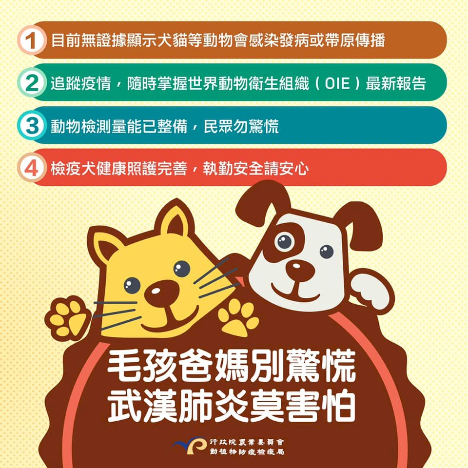 農委會：家中犬貓非新冠病毒傳染源