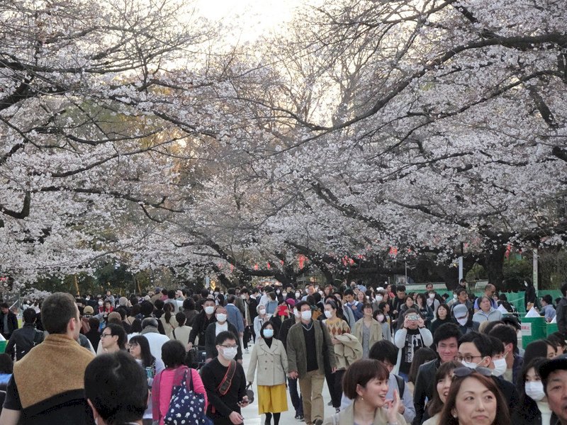 日本入境加嚴! 陸網友:中國放開 國外關門