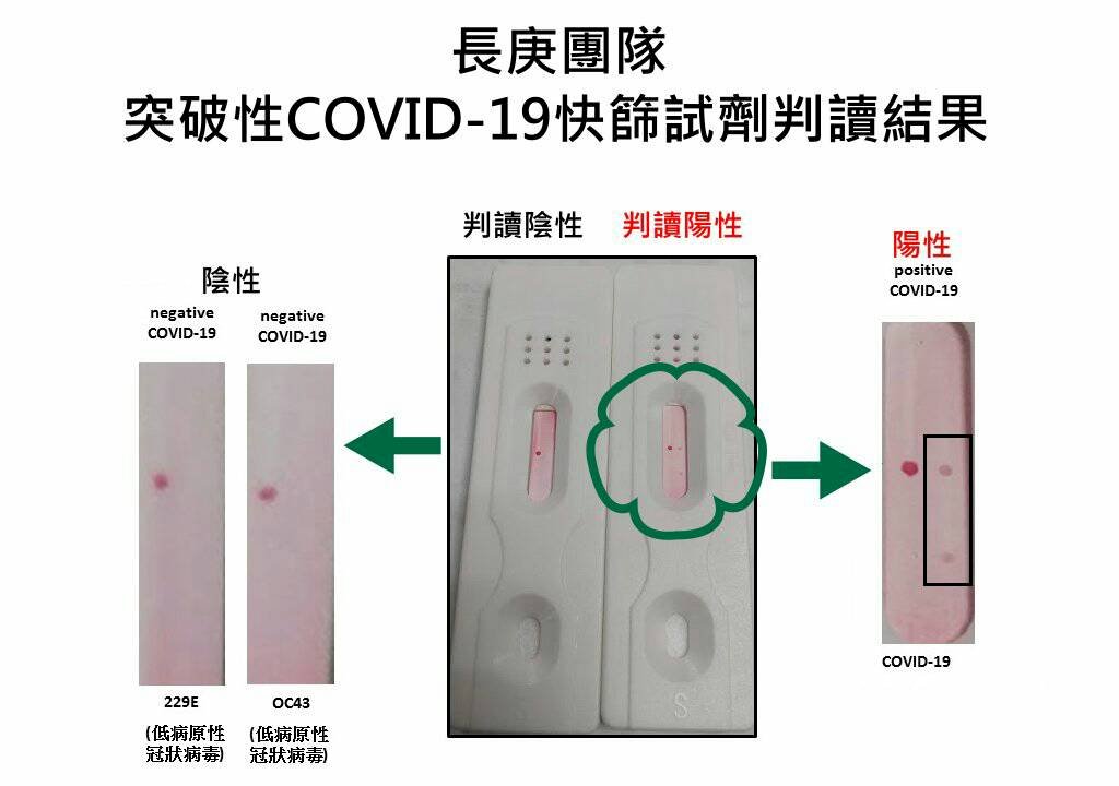 長庚成功從確診者體內做出抗體 為快篩及治療奠基鋪路