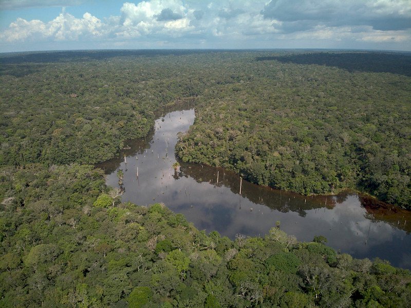 巴西亞馬遜地區 上半年森林砍伐創新紀錄