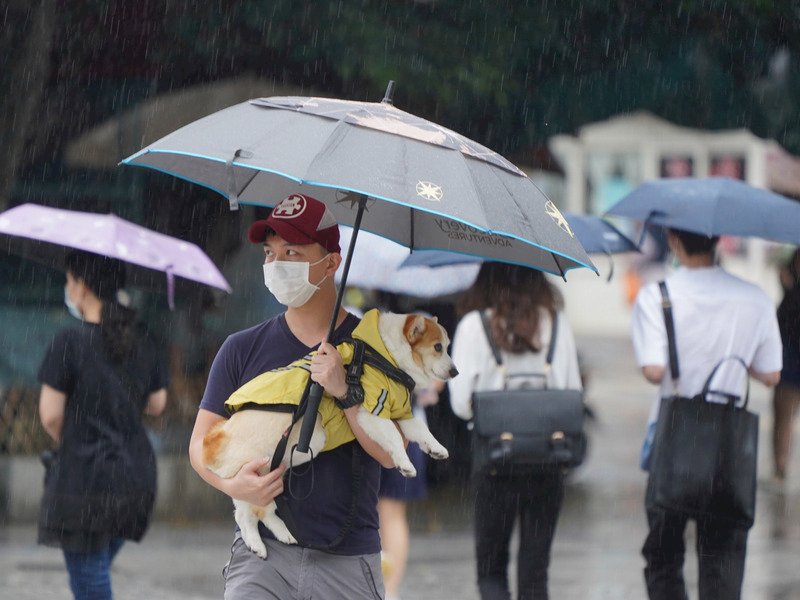雷雨到水庫未解渴 水利署抗旱兼防汛