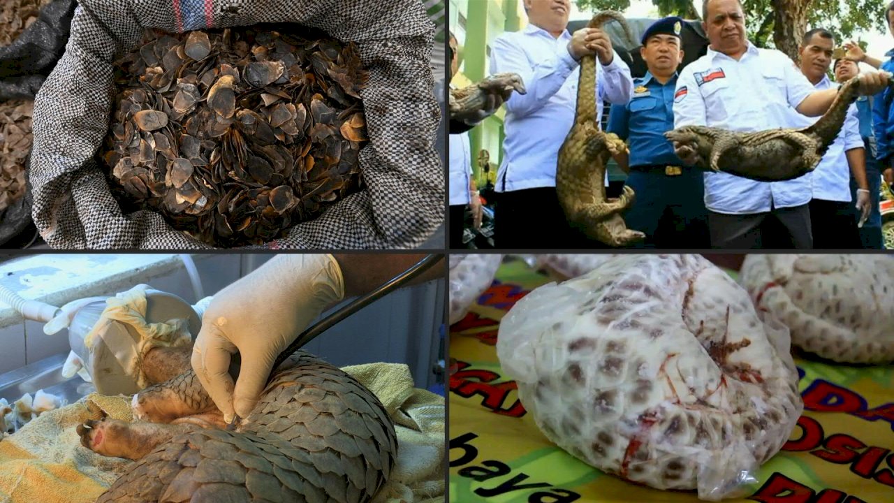 防範人畜共通疾病 越南禁野生動物進口