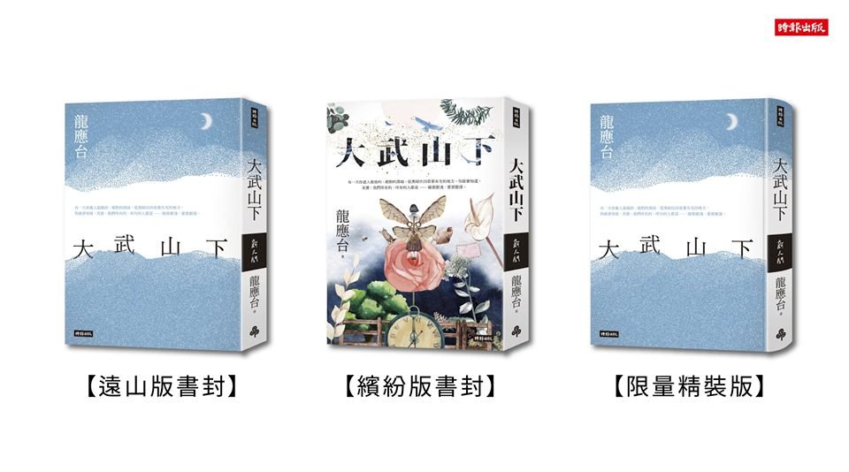 龍應台首部長篇小說「大武山下」  七月出版