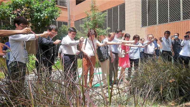 全台推30處雨水花園 減緩積水又降溫