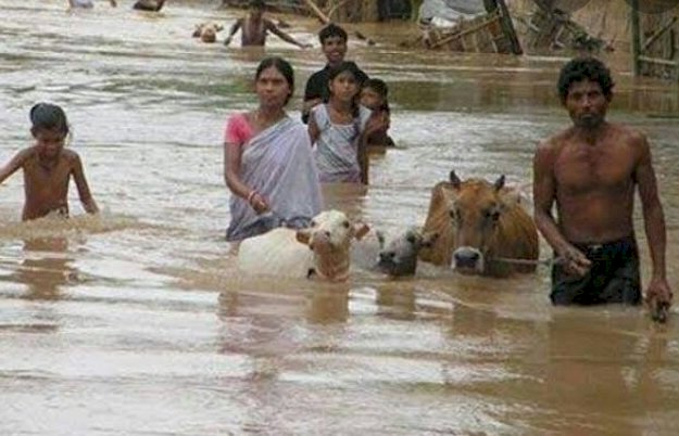疫情又逢豪雨洪患 印度2省逾800萬人受災