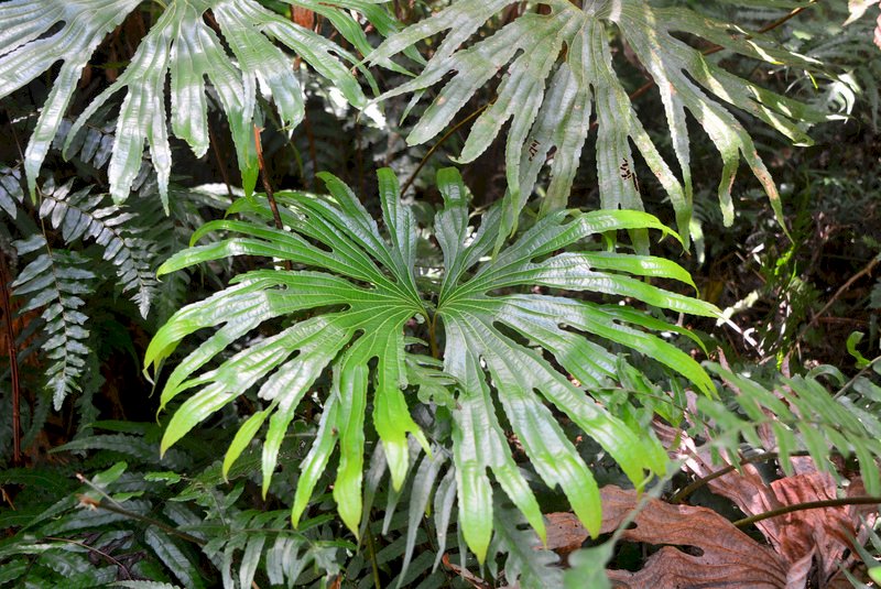 國家地理雜誌推台灣5秘境 讚嘆島嶼生物多樣性