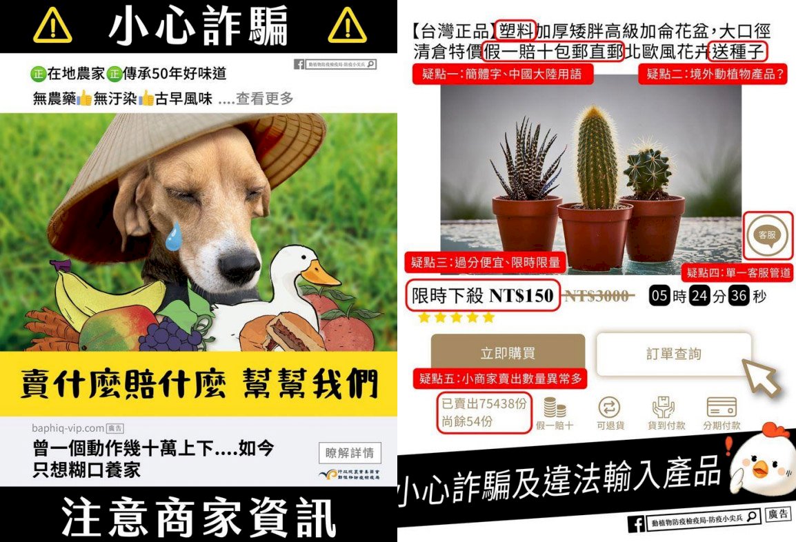 網購國產肉鬆餅卻來自中國 農委會籲5大疑點揪破綻防非洲豬瘟