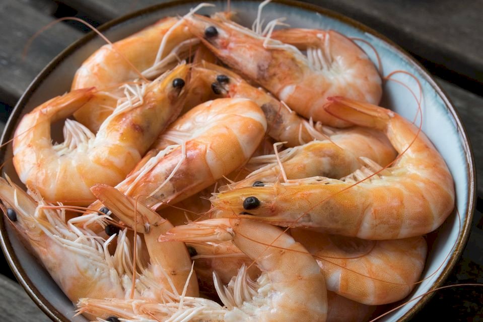 國人吃海鮮也能鞏固邦誼 這些都是來自中美洲的味(影音)