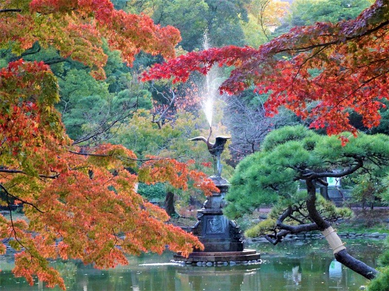 東京日比谷公園內有一座雲形池 池中的鶴噴水銅雕是日本現存第3古老的噴水座 歷史逾百年 每到秋天池畔銀杏 紅楓倒映池水 景色絕美 新聞 Rti 中央廣播電臺