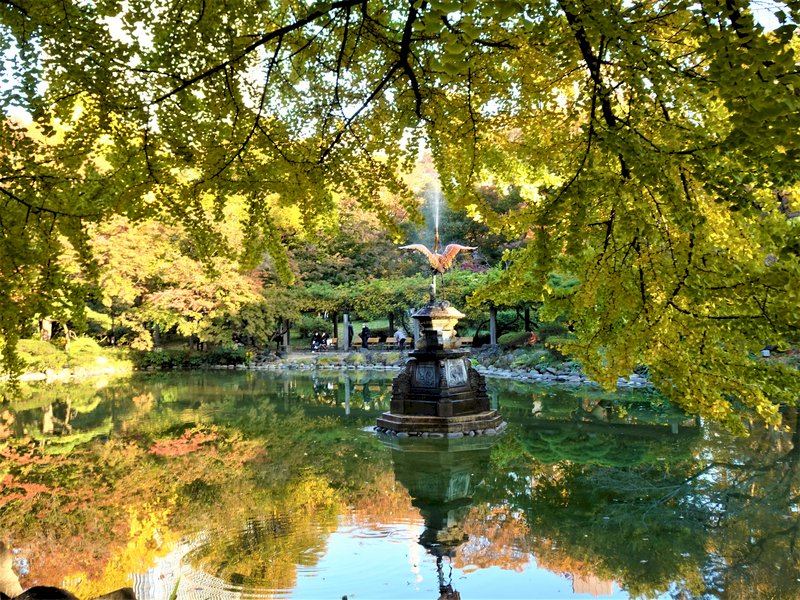 東京日比谷公園內有雲形池畔 大銀杏樹每到秋天由綠轉黃 令人賞心悅目 新聞 Rti 中央廣播電臺