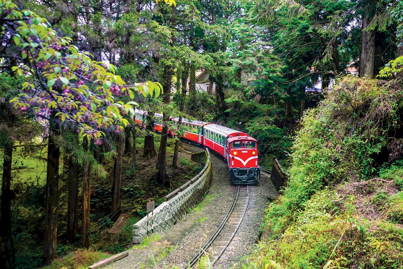 英國電視節目「世界最美麗的鐵道旅行（World's MostScenic Railway Journeys）」與交通部觀光局合作，到台灣拍鐵道旅遊專輯，將拍台鐵花蓮-台北段、台北-嘉義段及阿里山森林火車3軸線。（交通部觀光局提供）